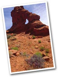 Elephant Arch in the Red Cliffs Desert Reserve