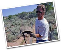 holding a tortoise on the red cliffs desert reserve