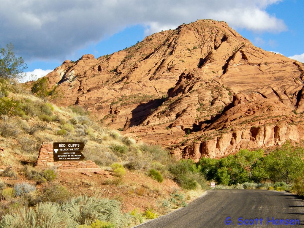 red-cliffs-desert-reserve-olympus-digital-camera